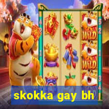 skokka gay bh